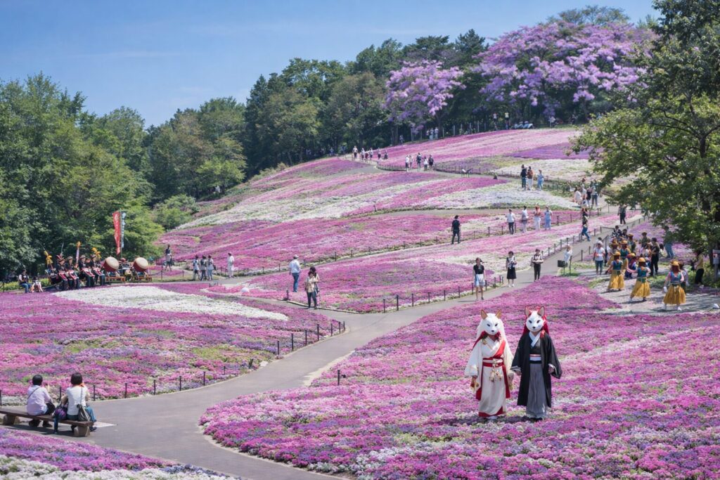 現在の画像: みさと芝桜まつり