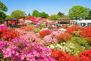 館林つつじまつり