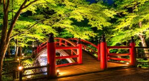 伊香保河鹿橋 新緑ライトアップ