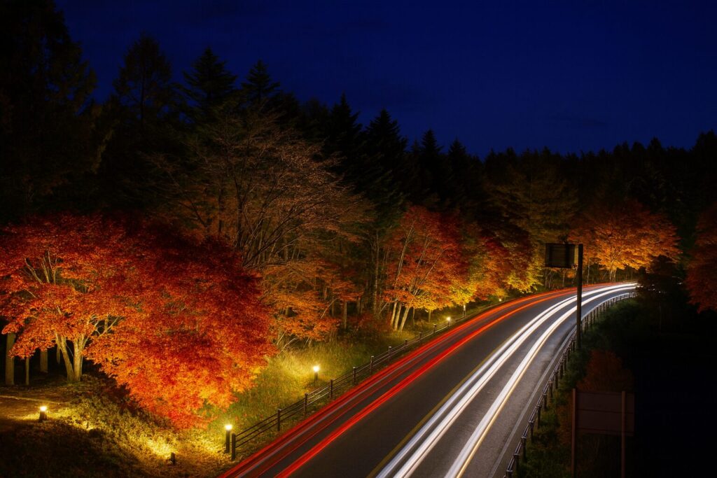 現在の画像: 道の駅紅葉ライトアップ