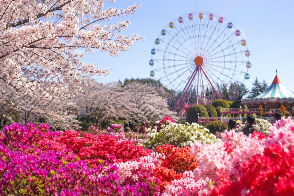 現在の画像: 華蔵寺公園花まつり